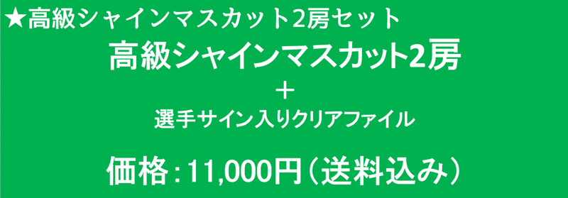 スクリーンショット (9)