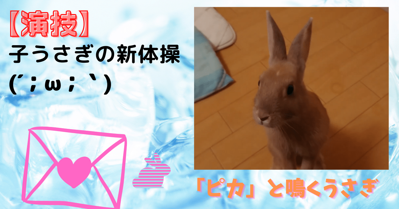 演技 子うさぎの新体操 背文字で スキ と伝えたいウサギのポリアンナ 音卯風矢 Note