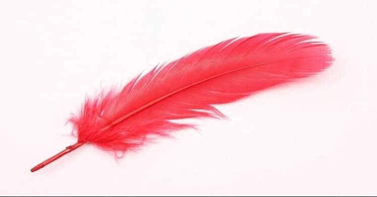 125e2adf3688885a9c0ab415cf1f56