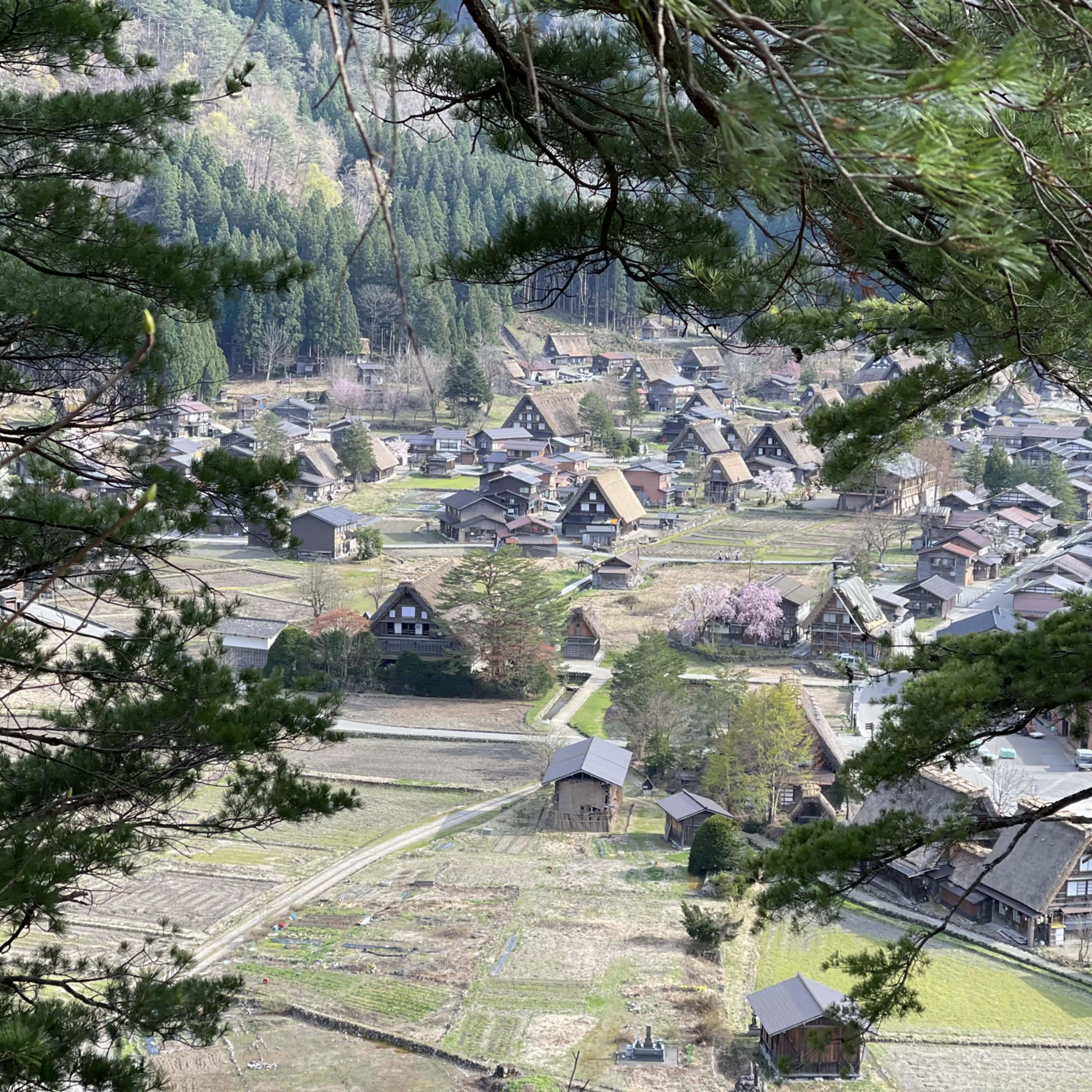 ケンボ〜旅行記