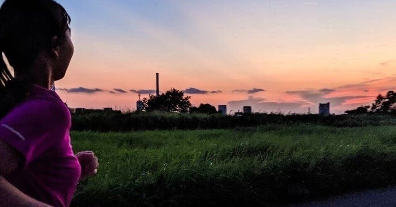 マフェトン理論180公式最新版｜阿部