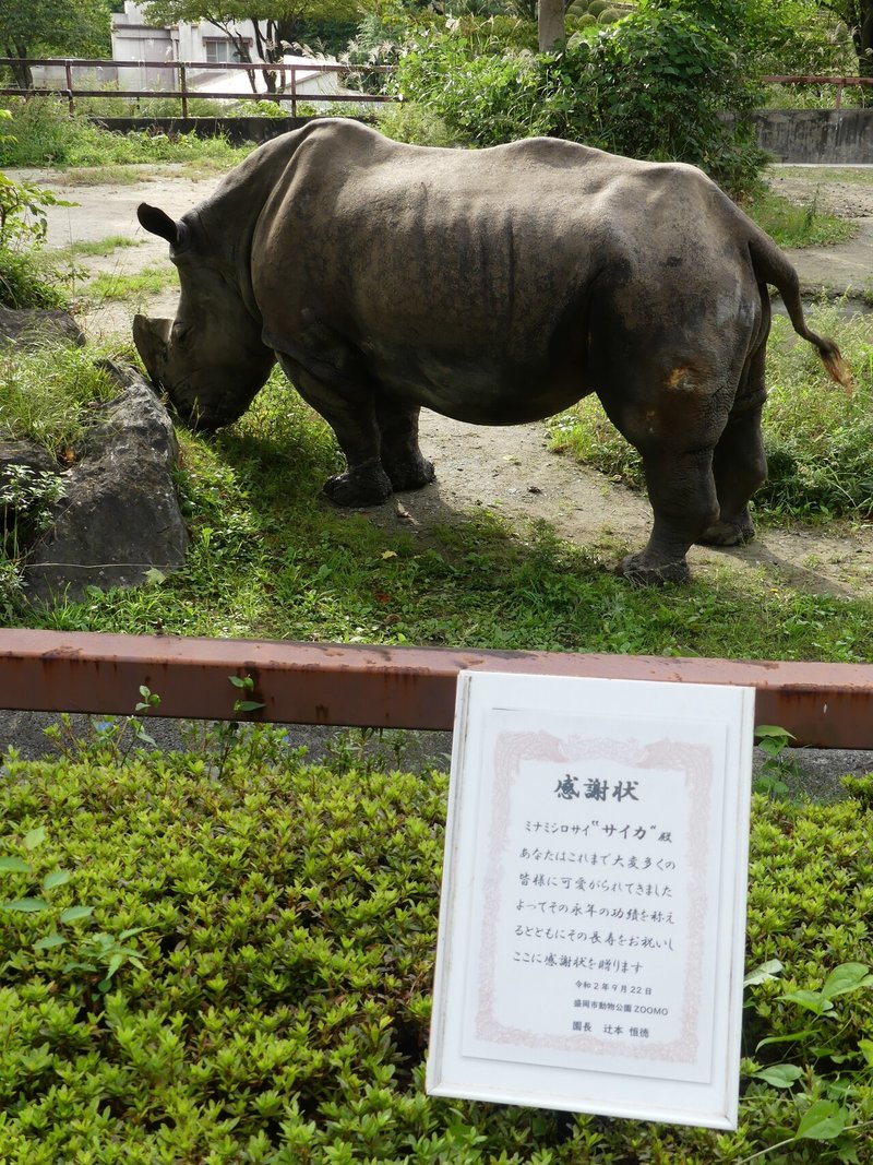 サイカ長寿表彰 (2)