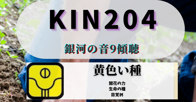 KIN204