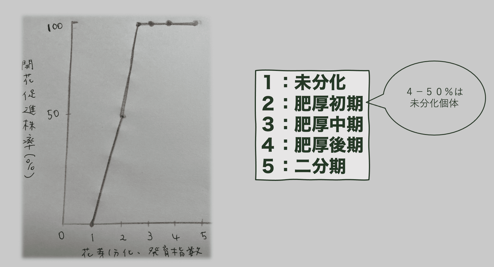 ２ いちごの生育ステージ 花芽分化要因 花芽分化期 株式会社momo Note