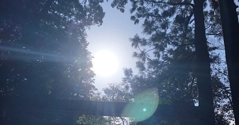 波長の法則 君子花 Kimiko Note 波長の法則 君子花 Kimiko Note