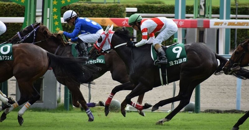 霧島賞 ひまわり賞 馬券対決開催のお知らせ たちき ゆみ Note