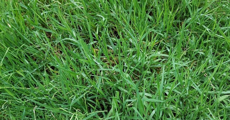 竹立てかけたかったから Shiko Note