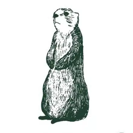 PRAIRIE DOG