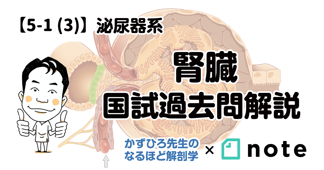5-1 (3)】泌尿器系 - 腎臓 国試過去問解説|かずひろ先生(黒澤一弘