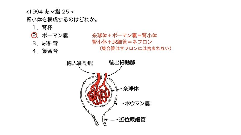 【5-1 (3)】泌尿器系 - 腎臓 国試過去問解説