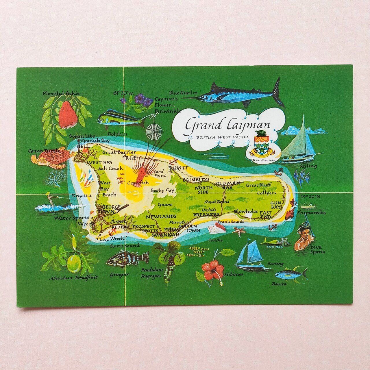 地図の絵葉書コレクション エハガキ華 Note