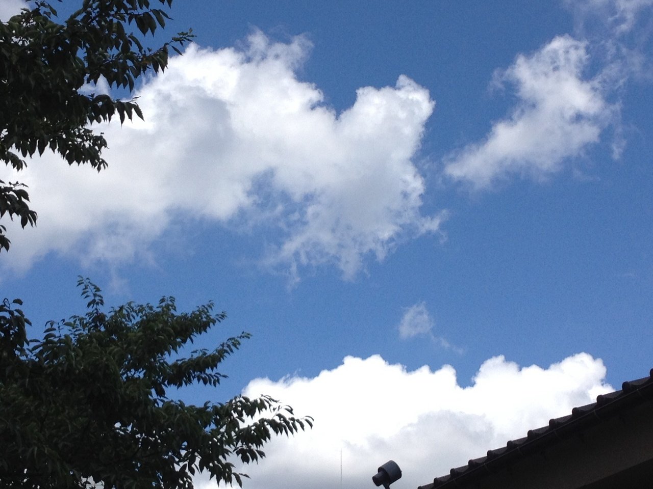 大きな空を 眺めたら 白い雲が 飛んでいた 終わりの歌のこの出だしの歌詞が昔から大好きで だからサザエさん症候群なんてなったことない 笑 もりしー Note