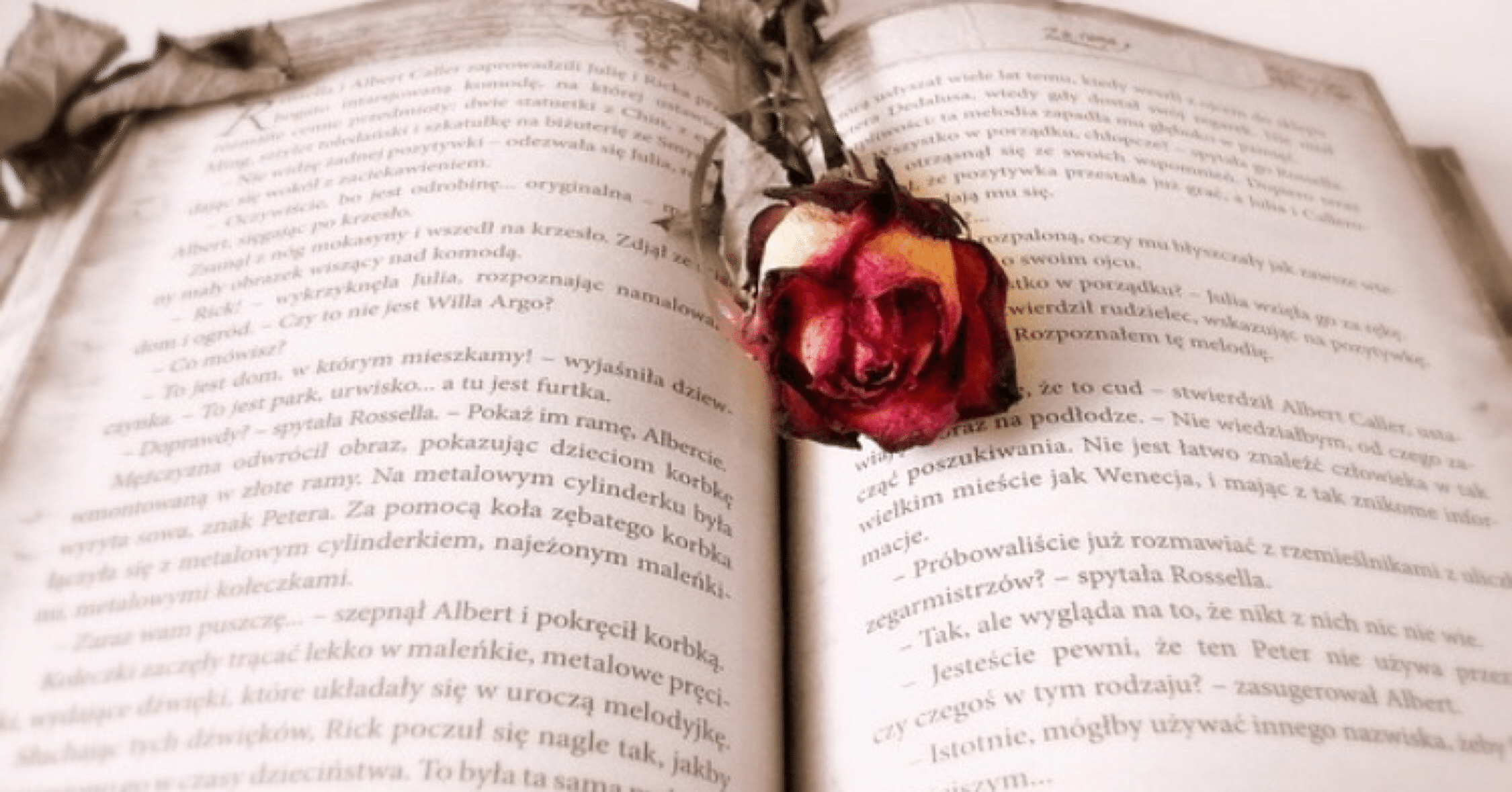 名のないシシャ 山田悠介 菜穂 Note