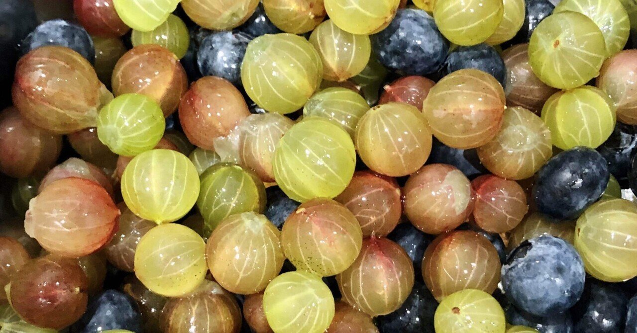 長野からやって来た宝石のような果実 グースベリー Mamige Note