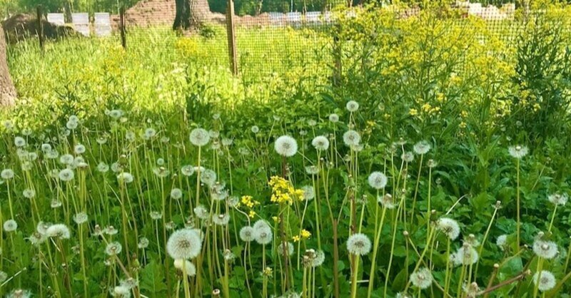 第三話　ひとつ屋根の下