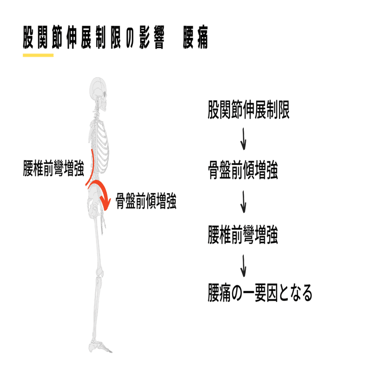 トーマステスト変法 解釈と臨床応用｜武田 純一