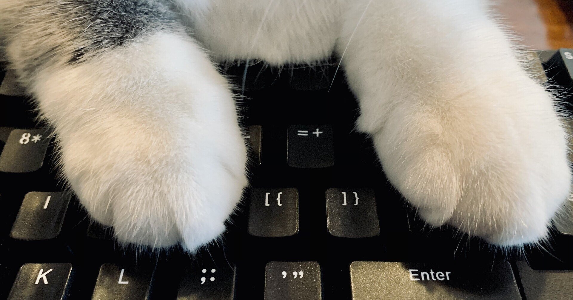 イラスト作業を5000兆倍加速させる左手デバイス設定 さくた Note