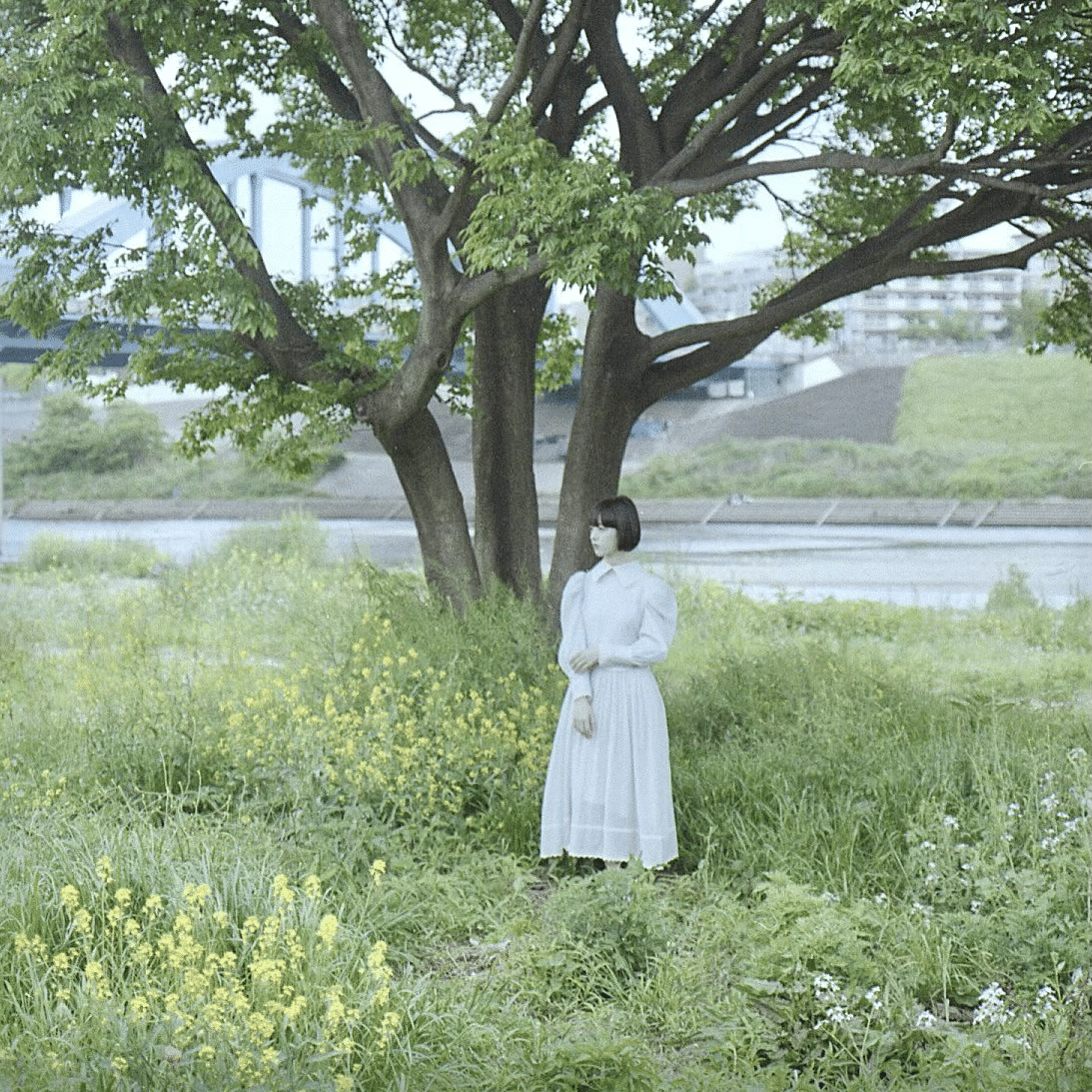 新作再販】7月の販売情報まとめ【てんこ盛りサマー】｜マール  