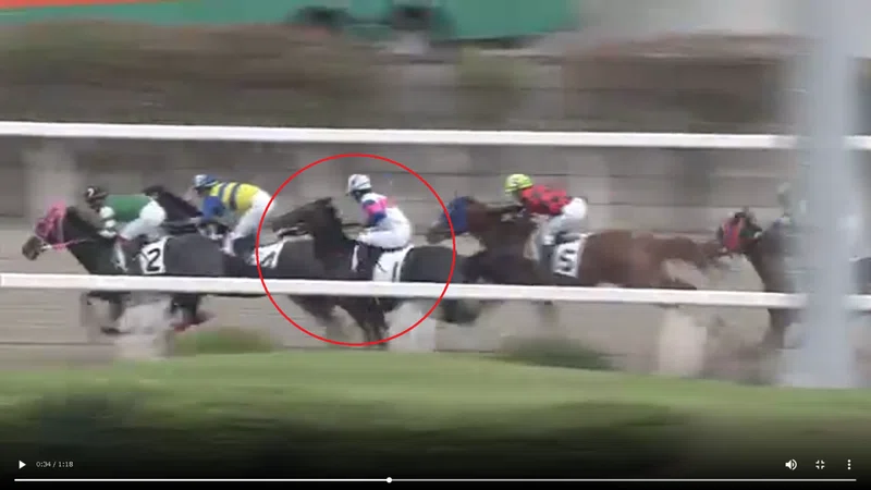ジュライスター賞のサインあり 7日の地方競馬情報を公開 くーねるが贈る サインで炙り出した 軸馬 情報 Note