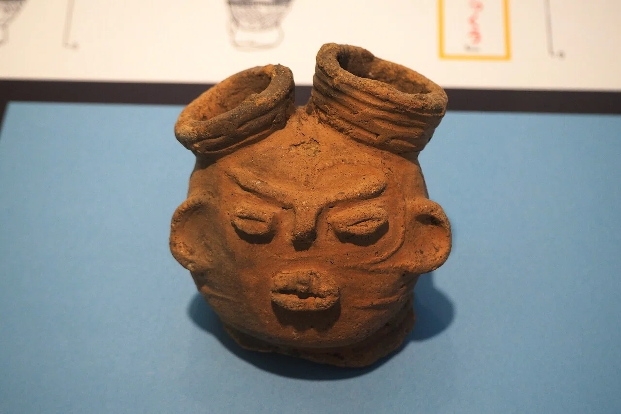 土偶が植物？説にはある程度納得するが、本には納得感がない『土偶を
