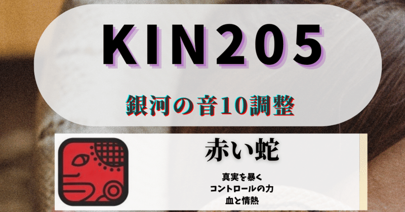 KIN205極性キン