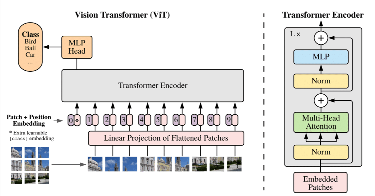 CNN vs ViT:画像認識における特徴の違いを解説 3 rectangle large type 2 94c064396f837a5416575054aaf49556