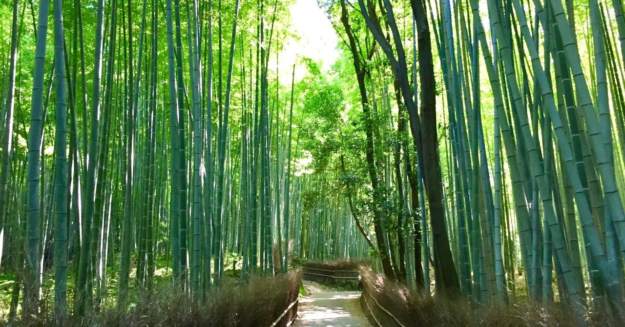 雨の日に行きたい嵐山 怠惰な大学生 Note 雨の日に行きたい嵐山 怠惰な大学生 Note