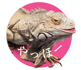 爬虫類イラスト の新着タグ記事一覧 Note つくる つながる とどける 爬虫類イラスト の新着タグ記事一覧 Note つくる つながる とどける