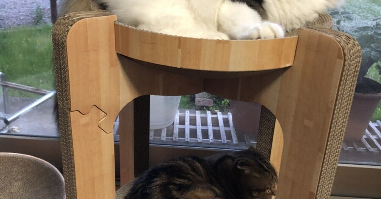 俺が沖縄で好きなラッパー コウイチ Note 俺が沖縄で好きなラッパー コウイチ Note