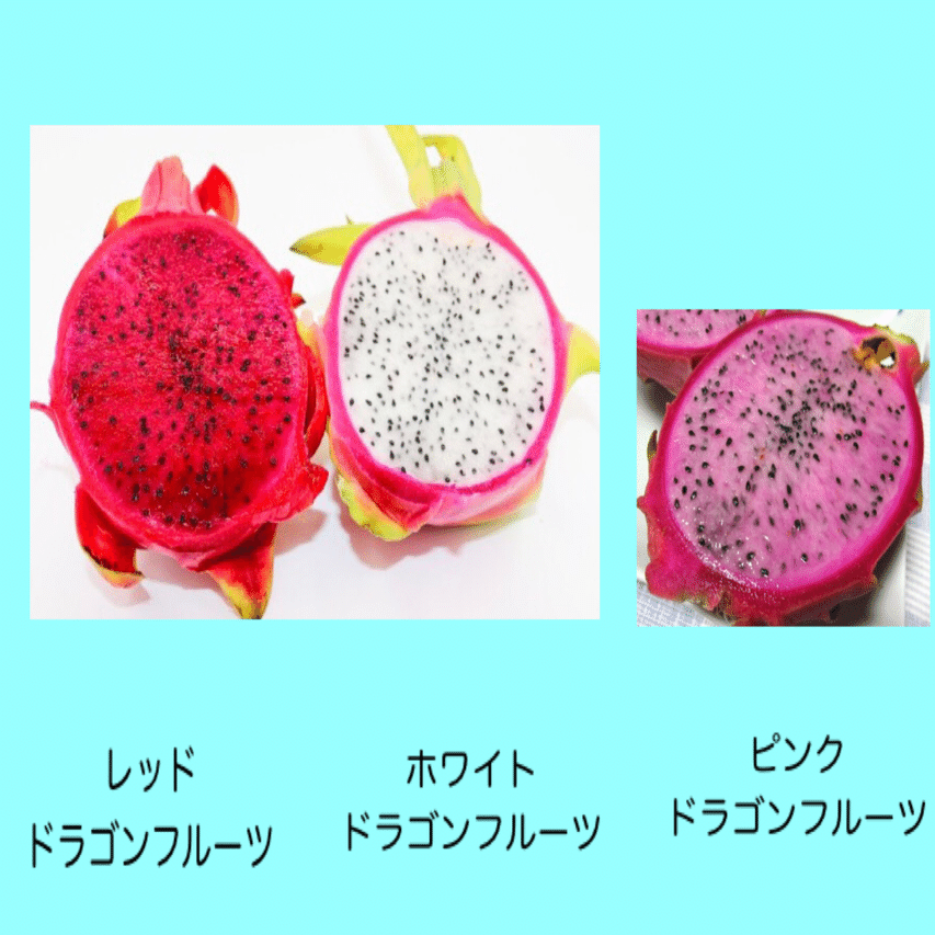 沖縄県産ドラゴンフルーツが美味しい理由とは 沖縄料理研究家 宮澤かおる Note