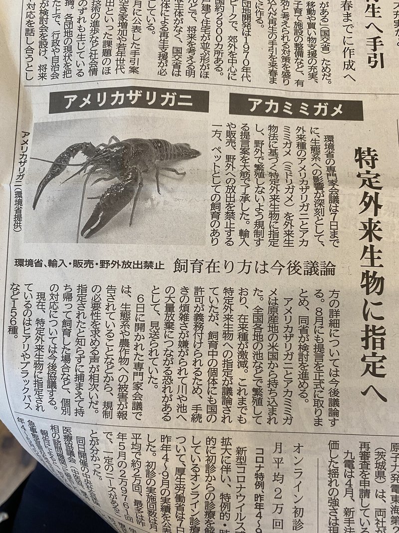 0179 アメリカザリガニが特定外来生物指定へ けんた きょうのあそびば Note