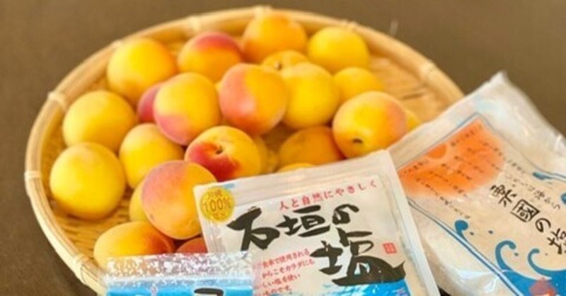 梅仕事21 沖縄の塩と黒糖と泡盛と 2 漬け込み途中のお手当て編 玉城久美子 沖縄 食 暮らし Note 梅仕事21 沖縄の塩と黒糖と泡盛と 2 漬け込み途中のお手当て編 玉城久美子 沖縄 食 暮らし Note