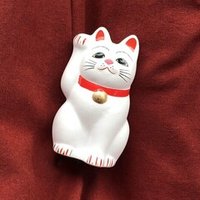 私が経験した稽留流産と 自然排出のこと 江口チグエ Note