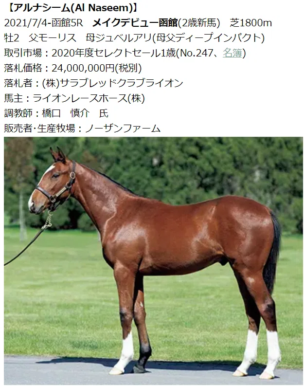 一口馬主は目が離せない セレクトセール２０２１ １歳部門 一口馬主マスターb Note