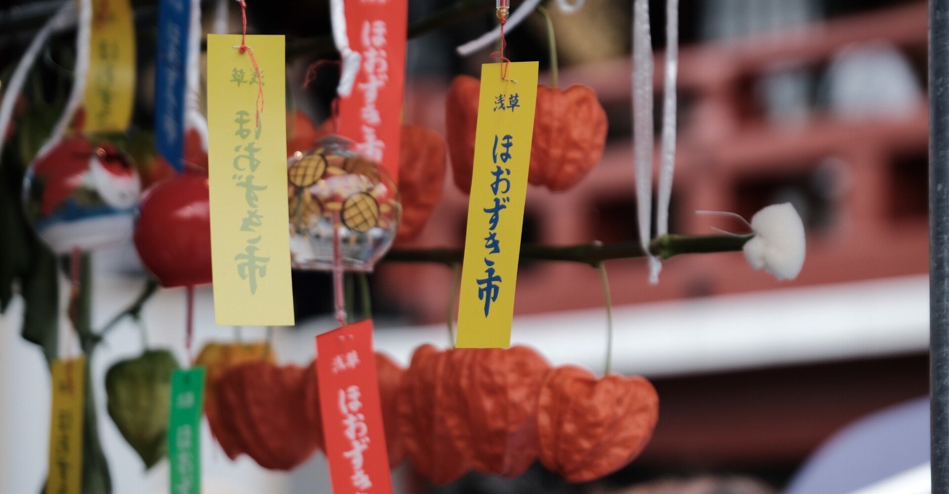 俳句編8 夏の季語 鬼灯市 ほおずきいち 四万六千日 しまんろくせんにち 慶應義塾中等部対策講座 鴻鵠 おおとり 私学受験の先生 Note