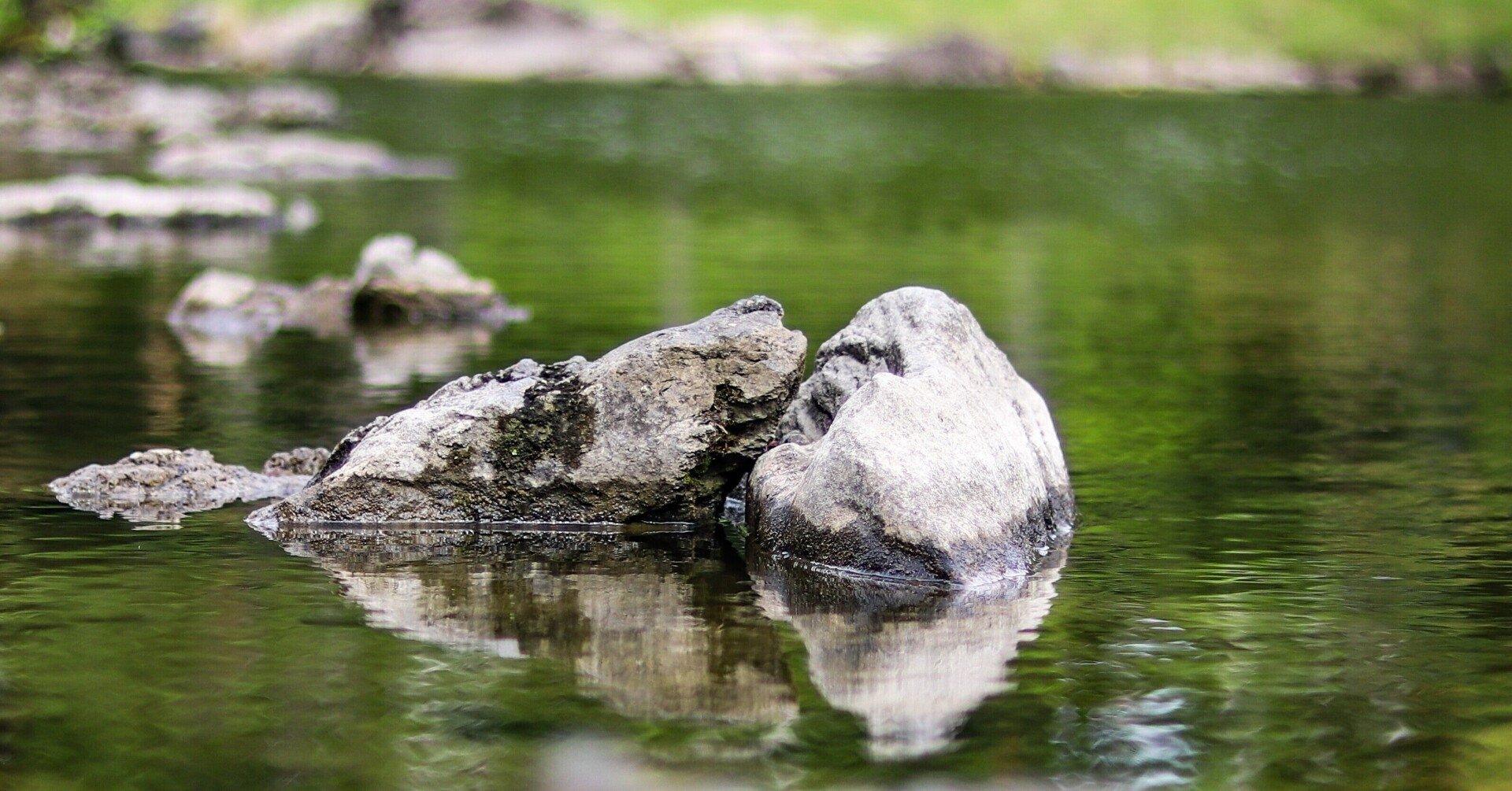 人はそれぞれの世界を見る ひじかたかた Note