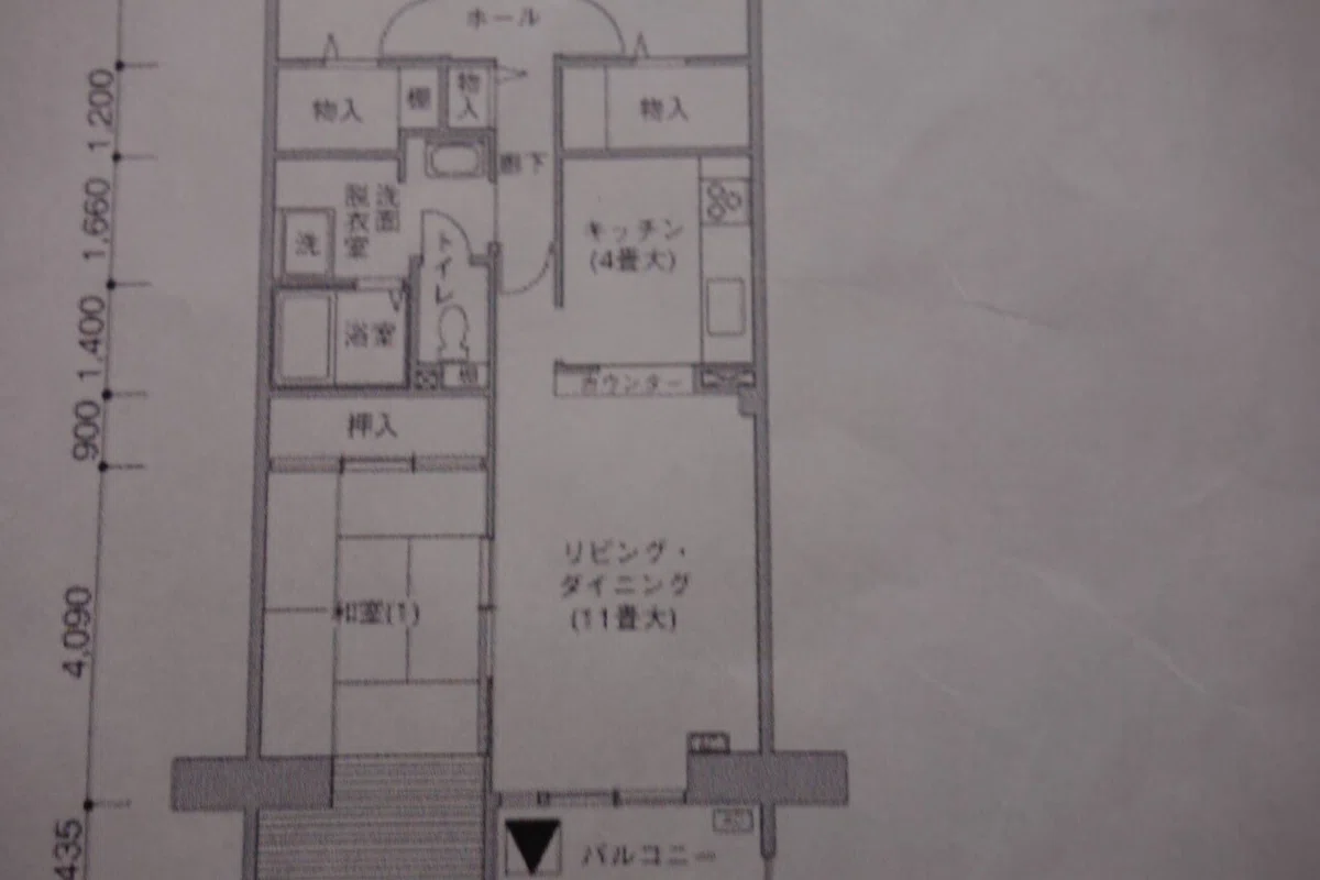画像1