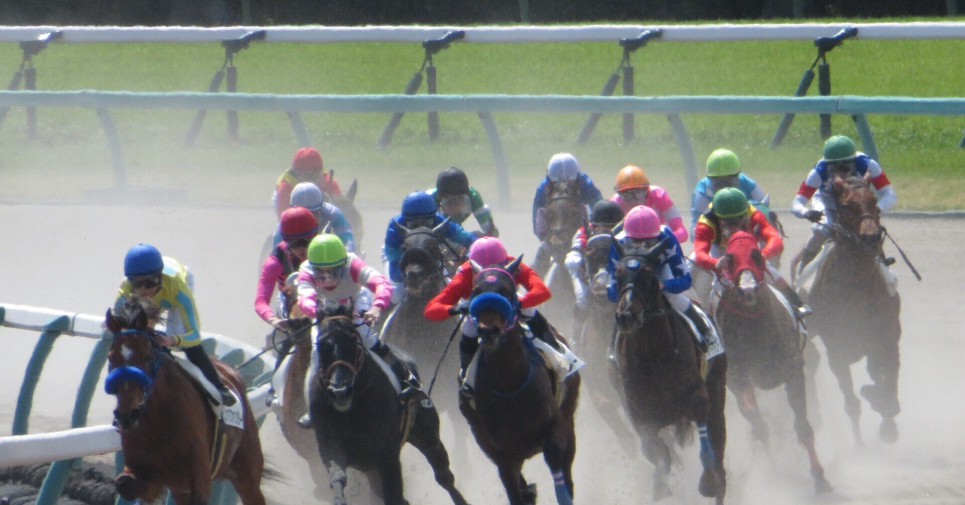 夏は未勝利のサバイバル～3歳未勝利戦の傾向と対策～｜勝木 淳