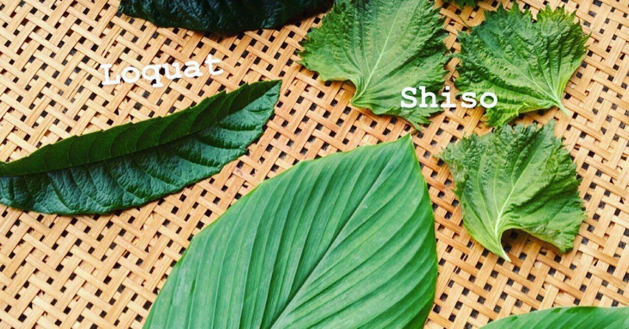 葉っぱのお皿は良いことだらけ Satoyama Note Note 葉っぱのお皿は良いことだらけ Satoyama Note Note