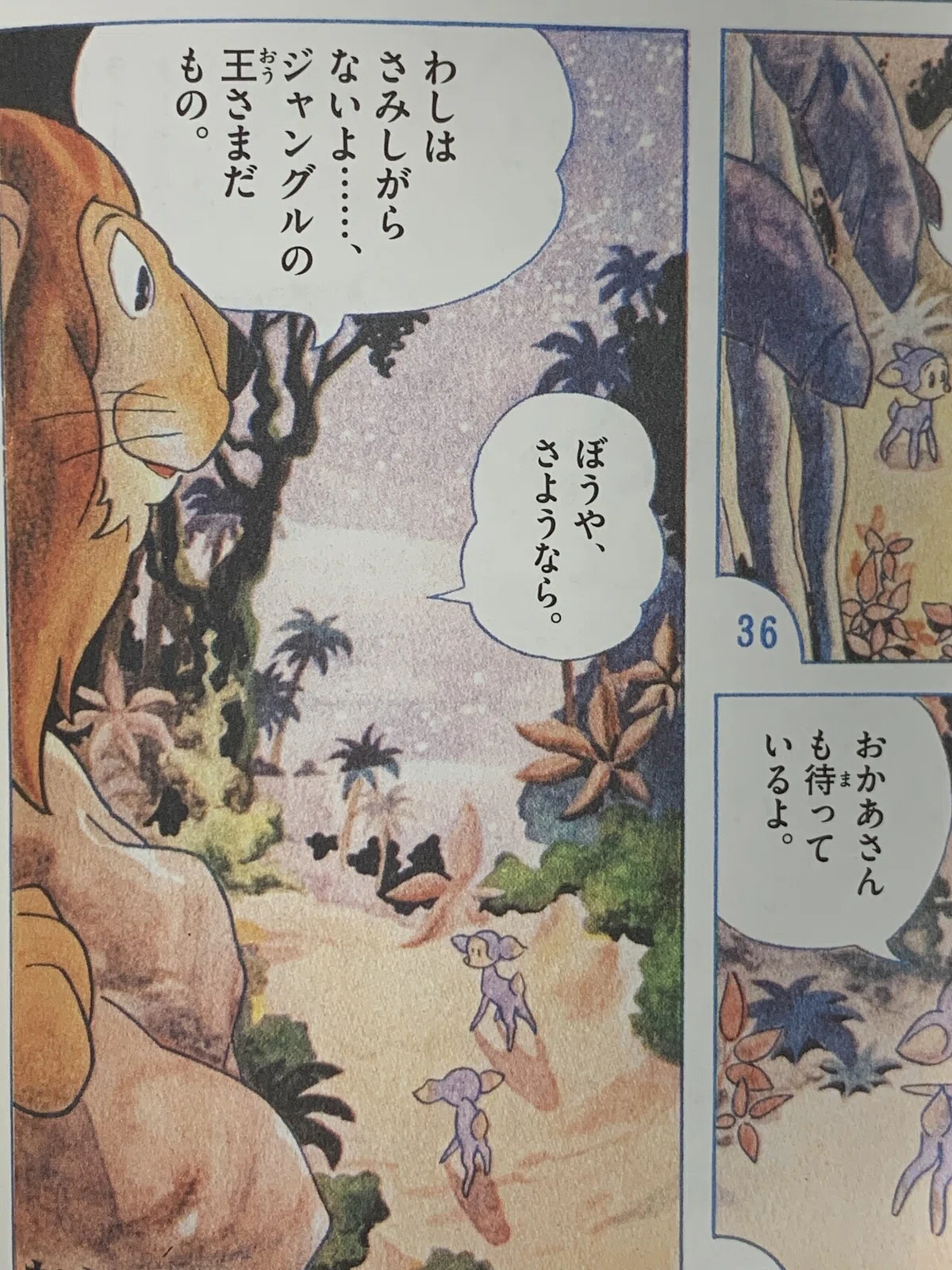 画像6