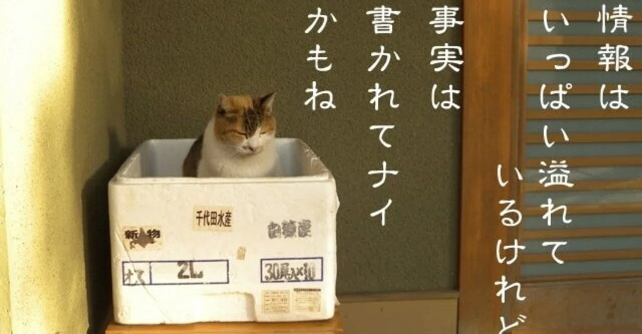 見出し画像