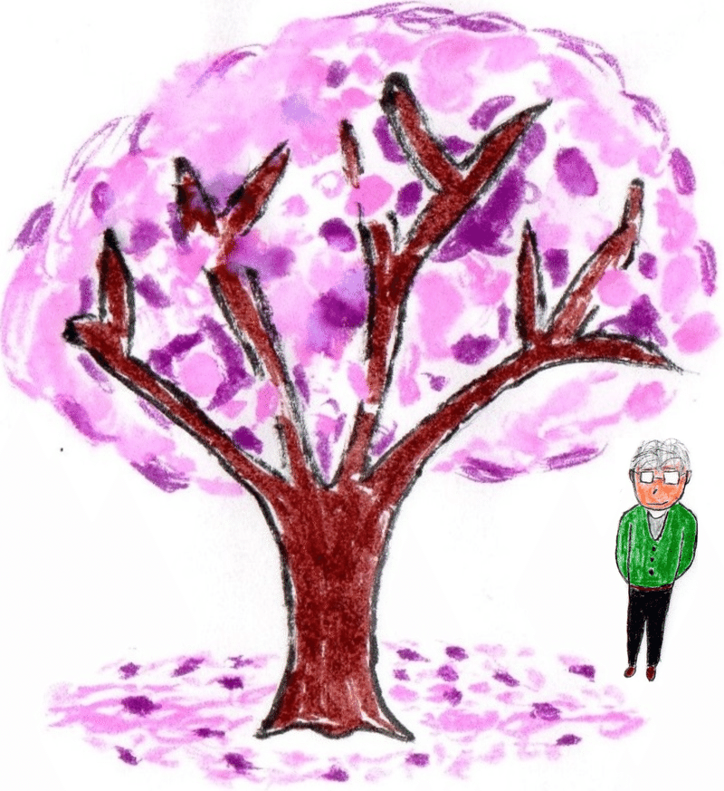 今日の英語 中国語 季節外れの桜です This Is Out Of Season Cherry Blossoms 这是不合季节的樱花 よしお 日本 を学ぶ 今日の英語 中国語 Note 今日の英語 中国語 季節外れの桜です This Is Out Of Season Cherry Blossoms 这是不合季节的樱花 よしお 日本 を学ぶ 今日の英語 中国語 Note
