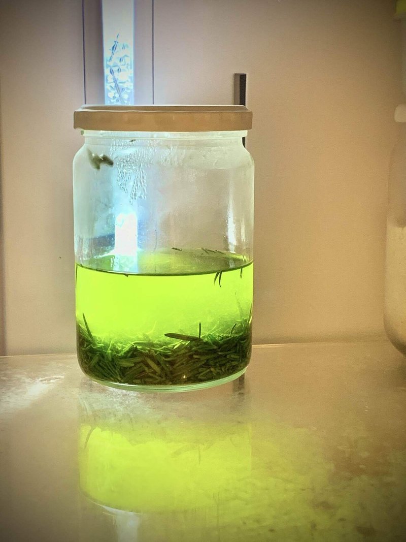 ローズマリーの大量消費 ローズマリー軟膏を作る Small Seed Ouchi Note ローズマリーの大量消費 ローズマリー軟膏を作る Small Seed Ouchi Note