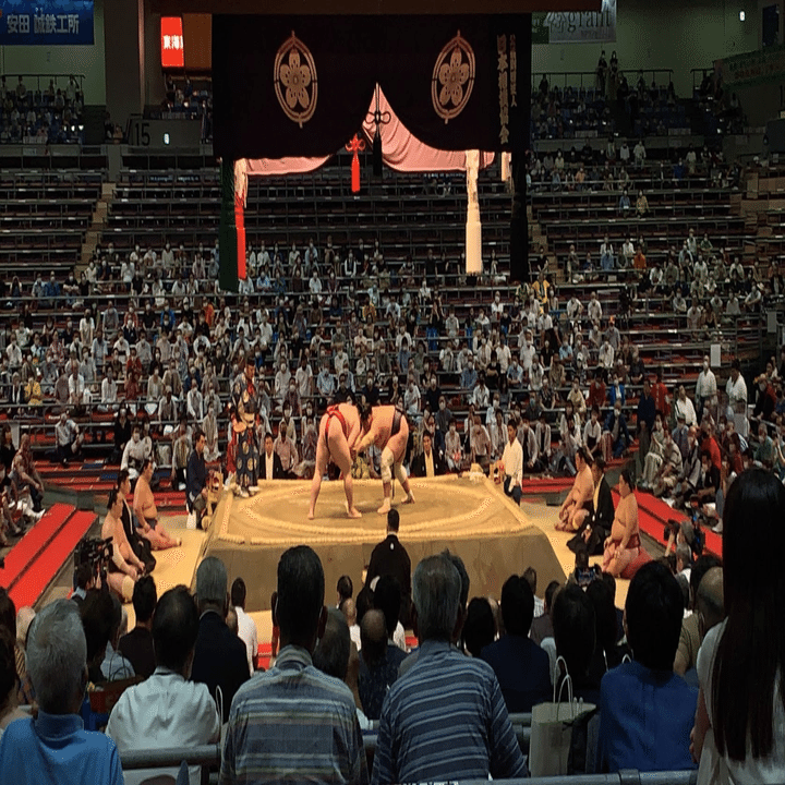 大相撲 小結・宇良 関取座布団 大相撲 小結・宇良 関取座布団 木瀬部屋