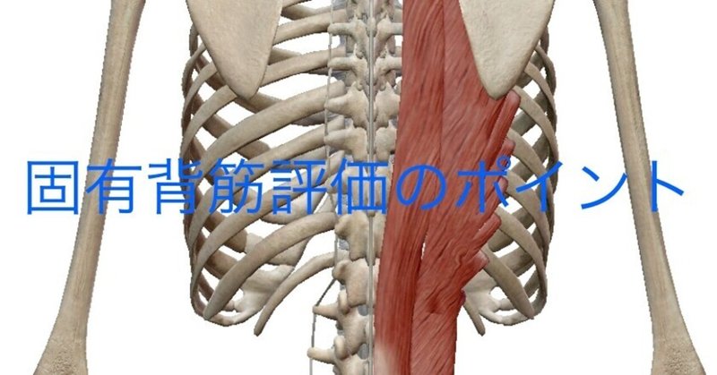 腸肋筋 の新着タグ記事一覧 Note つくる つながる とどける 腸肋筋 の新着タグ記事一覧 Note つくる つながる とどける