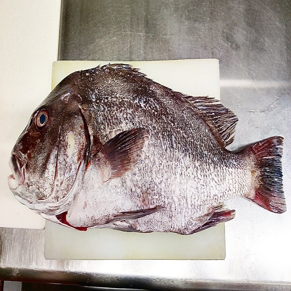 愛媛県産 コショウダイ と ポワソニエ 修家大雄 レストラン ラ フェ Note