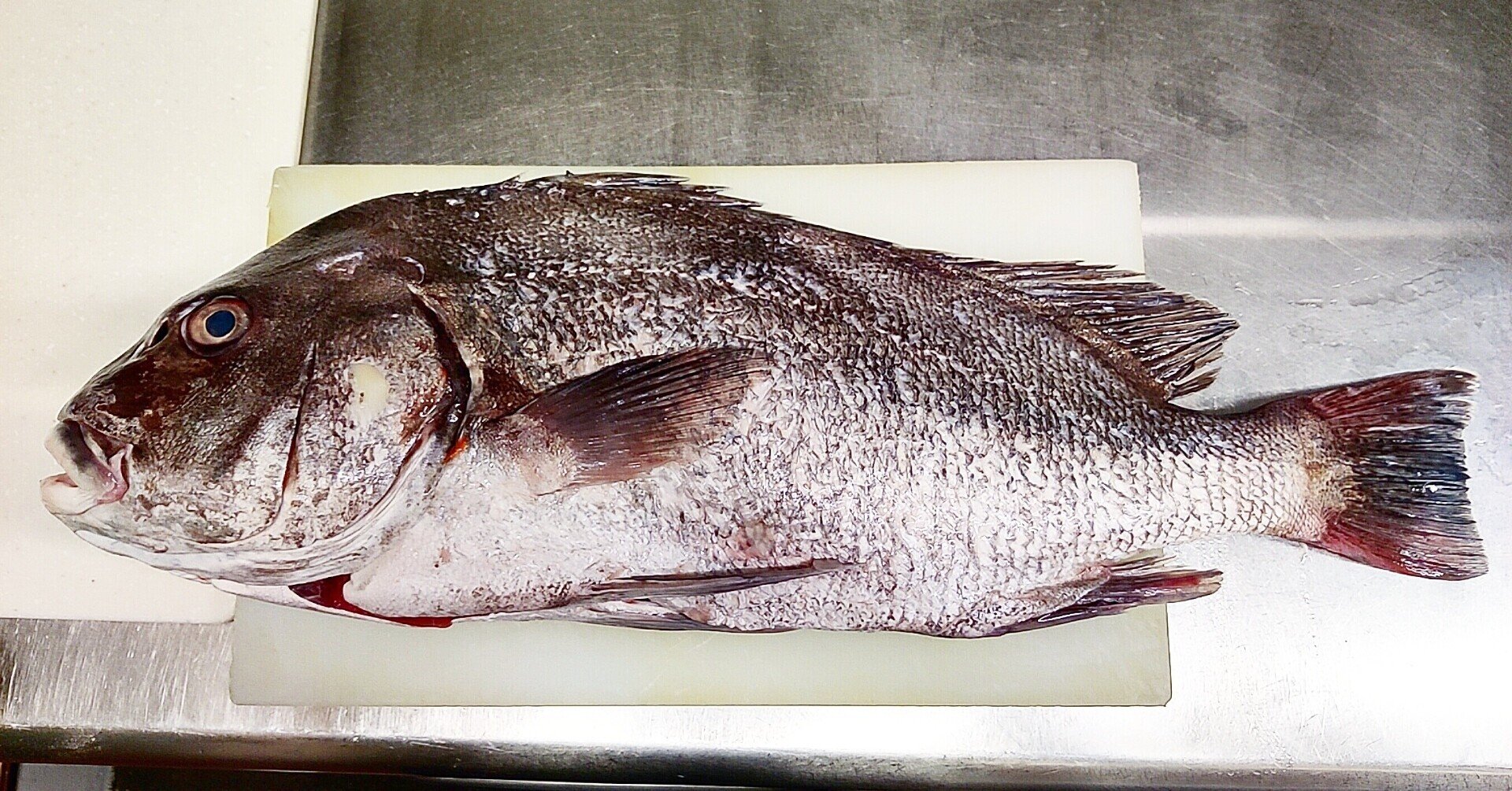 愛媛県産 コショウダイ と ポワソニエ 修家大雄 レストラン ラ フェ Note 愛媛県産 コショウダイ と ポワソニエ 修家大雄 レストラン ラ フェ Note