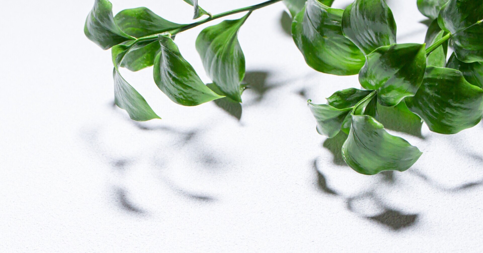 祖母と孫へよくある質問 Yoshino のyoshinote Note 祖母と孫へよくある質問 Yoshino のyoshinote Note