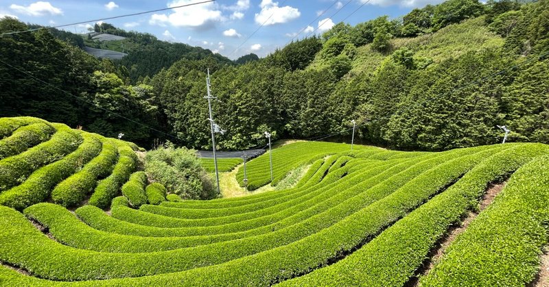 飢えているなら働けば？ 〜コロナ失業時代に思うこと〜