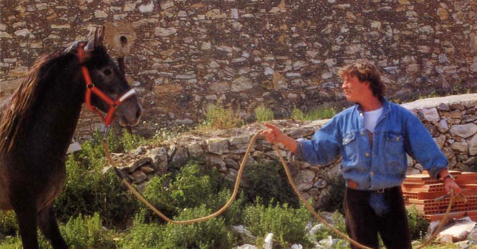 ［新品］馬と踊ろう Dancing with Horses maxresdefault.jpg?sqp=-